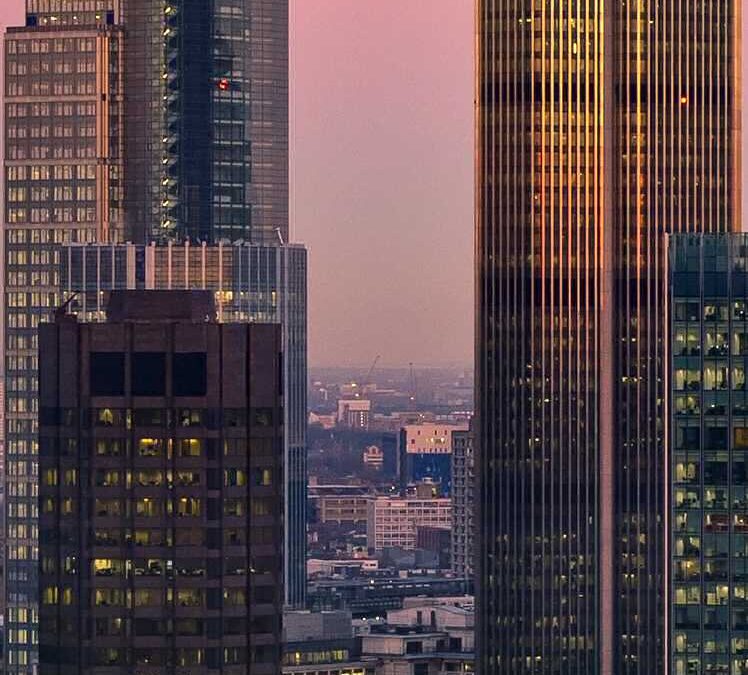 Franchises and Commercial Leases