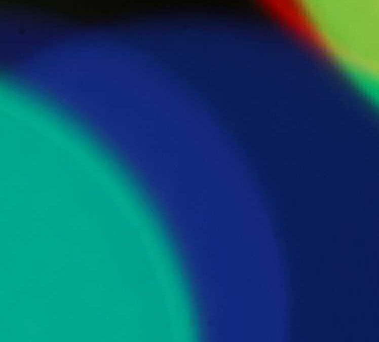 Transgender Rights: Harassment and Discrimination in the workplace