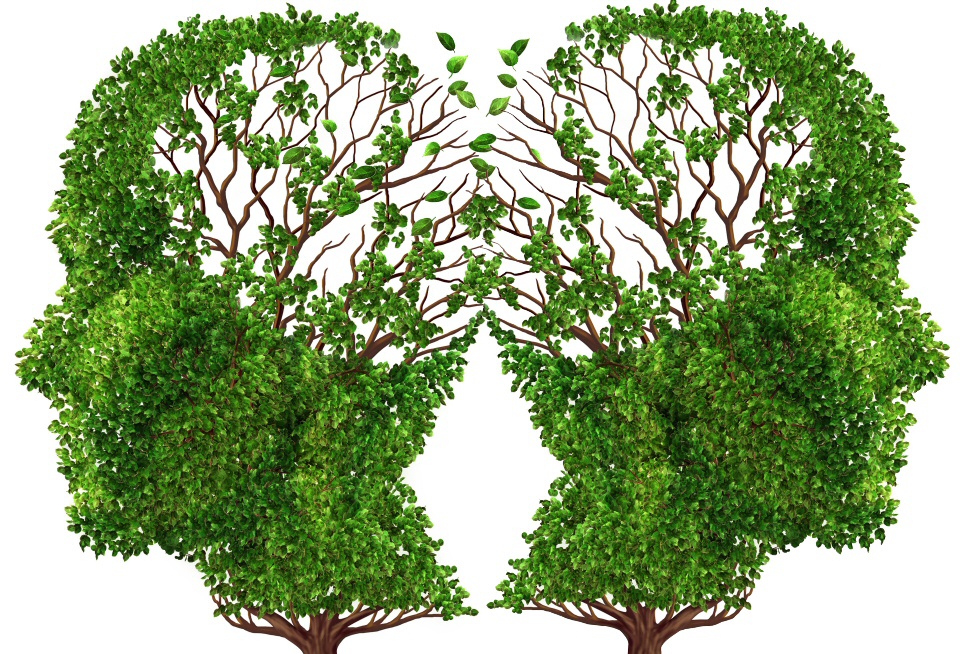 Divorce & Protecting Your Mental Health